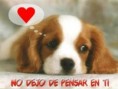 /album/fotogaleria/tarjetas-fotos-amor-peq-jpg/