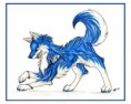 /album/fotogaleria/sasukewolf-jpg/