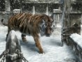 /album/fotogaleria/tigre-3d-1024x768-jpg/